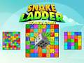 Trò chơi Snake and Ladder Board Game