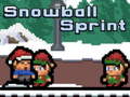 Trò chơi Snowball Sprint