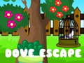 Trò chơi Dove Escape
