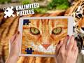 Trò chơi Unlimited Puzzles