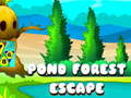 Trò chơi Pond Forest Escape