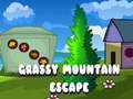Trò chơi Grassy Mountain Escape