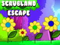 Trò chơi Scrubland Escape