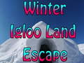 Trò chơi Winter Igloo Land Escape 