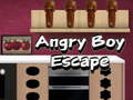 Trò chơi Angry Boy Escape