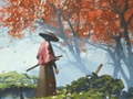 Trò chơi Samurai Reflexion