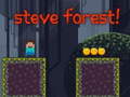 Trò chơi Steve Forest