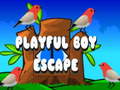 Trò chơi Playful Boy Escape