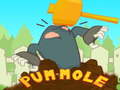 Trò chơi Pum-Mole
