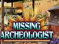 Trò chơi Missing Archeologist