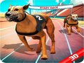 Trò chơi Crazy Dog Race