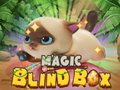 Trò chơi Magic Blind Box