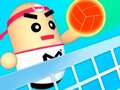 Trò chơi 3D Amazing VolleyBall