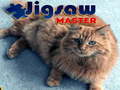 Trò chơi Jigsaw Master 