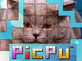 Trò chơi PicPu Cat 