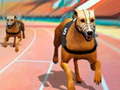 Trò chơi Dogs3D Races