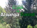 Trò chơi Return To Alsunga Forest