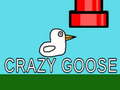 Trò chơi Crazy Goose