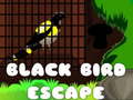 Trò chơi Black Bird Escape