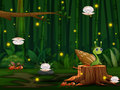 Trò chơi Snail Run