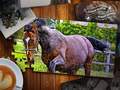 Trò chơi Jigsaw Puzzle Horses Edition