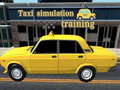 Trò chơi Taxi simulation training
