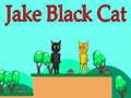 Trò chơi Jake Black Cat