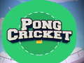 Trò chơi Pong Cricket