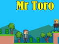 Trò chơi Mr Toro