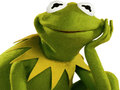 Trò chơi Coloring Book For Kermit the Frog 