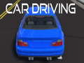 Trò chơi Car Driving