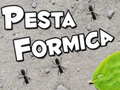 Trò chơi Pesta Formica