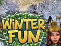 Trò chơi Winter Fun