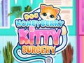 Trò chơi Doc HoneyBerry Kitty Surgery