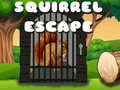 Trò chơi Squirrel Escape