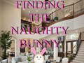 Trò chơi Finding The Naughty Bunny