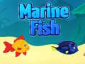 Trò chơi Marine Fish