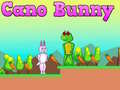 Trò chơi Cano Bunny