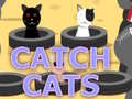 Trò chơi Catch Cats