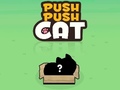 Trò chơi Push Push Cat
