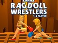 Trò chơi Funny Ragdoll Wrestlers