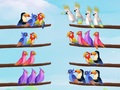 Trò chơi Bird Sort Puzzle