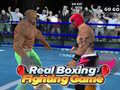 Trò chơi Real Boxing Fighting Game