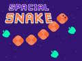 Trò chơi Spacial Snake