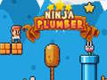 Trò chơi Ninja Plumber