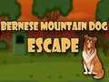 Trò chơi Bernese Mountain Dog Escape