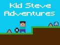 Trò chơi Kid Steve Adventures