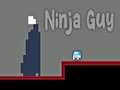 Trò chơi Ninja Guy