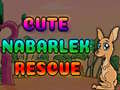 Trò chơi Cute Nabarlek Rescue