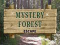 Trò chơi Mystery Forest